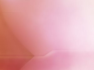 关务管理
